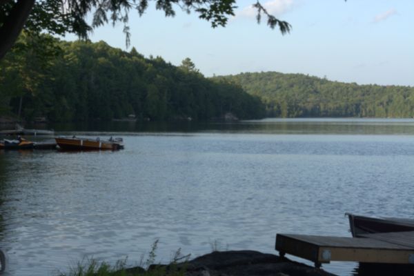 Cottage photo